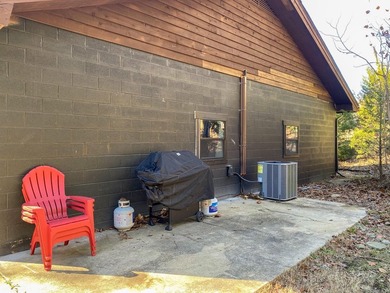 The Flippin Villa on The White River is the trophy trout fishing - photo 45