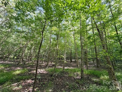 Rare opportunity to own 10.52 wooded acres in one of York - photo 2