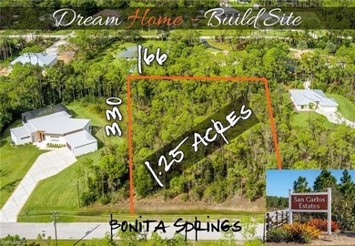 1.25 ACRE GEM IN BONITA SPRINGS READY FOR YOUR DREAM HOME!! - photo 1