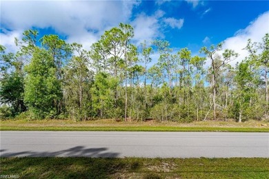 1.25 ACRE GEM IN BONITA SPRINGS READY FOR YOUR DREAM HOME!! - photo 6