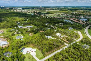 1.25 ACRE GEM IN BONITA SPRINGS READY FOR YOUR DREAM HOME!! - photo 8