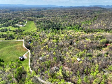 Situated on 1.9 private acres, this furnished mountain home - photo 4