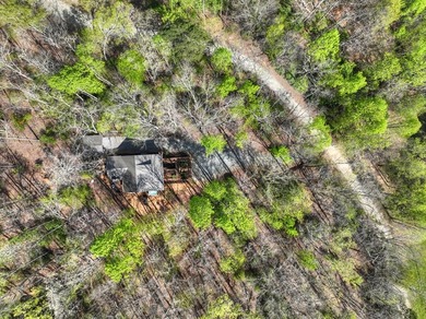 Situated on 1.9 private acres, this furnished mountain home - photo 5