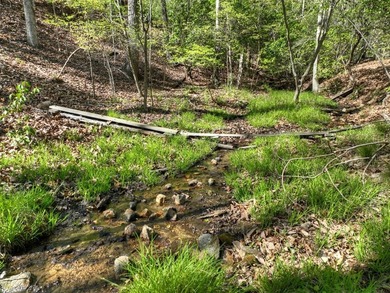Situated on 1.9 private acres, this furnished mountain home - photo 6
