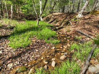 Situated on 1.9 private acres, this furnished mountain home - photo 7