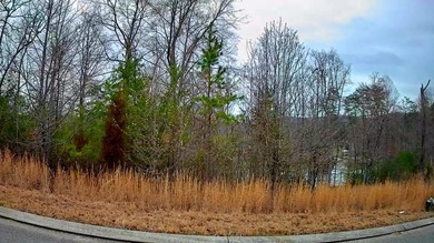 Are you looking for the perfect spot to build your dream home? - photo 2