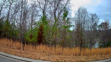 Are you looking for the perfect spot to build your dream home? - photo 3