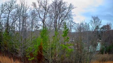 Are you looking for the perfect spot to build your dream home? - photo 4