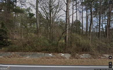 Lake Lot For Sale in Conyers, Georgia