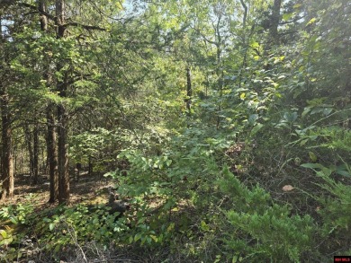 Bull Shoals Lake Lot For Sale in Bull Shoals Arkansas