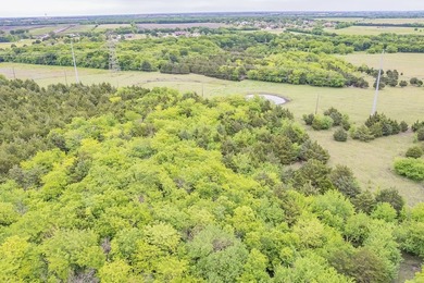 Rare opportunity to own a private, Ag-exempt estate just minutes - photo 9