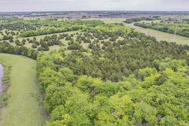Rare opportunity to own a private, Ag-exempt estate just minutes - photo 10