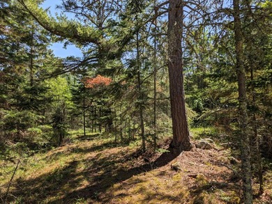 Discover the perfect Northwoods retreat on this beautifully - photo 12