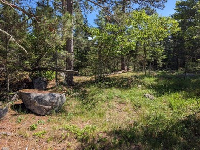 Discover the perfect Northwoods retreat on this beautifully - photo 13