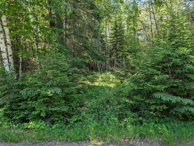Discover the perfect Northwoods retreat on this beautifully - photo 18