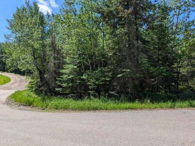 Discover the perfect Northwoods retreat on this beautifully - photo 20