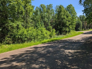 Discover the perfect Northwoods retreat on this beautifully - photo 21