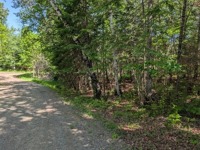 Discover the perfect Northwoods retreat on this beautifully - photo 22