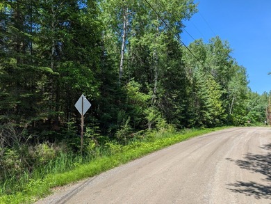 Discover the perfect Northwoods retreat on this beautifully - photo 23