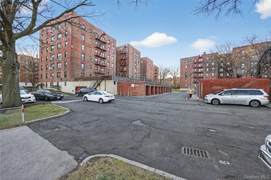Welcome to Linden Hill. This bright corner one-bedroom co-op - photo 24