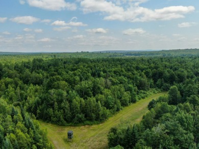Lake Acreage For Sale in Carroll Plt, Maine