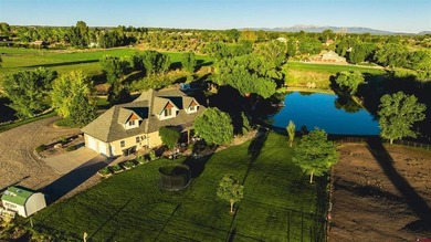 Lake Home For Sale in Dolores, Colorado