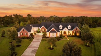 (private lake, pond, creek) Home For Sale in Thonotosassa Florida