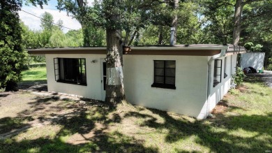 Lake Home For Sale in Monticello, Indiana