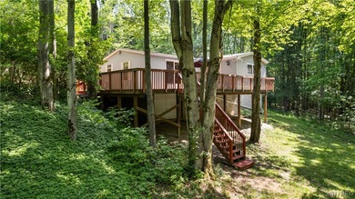 (pending lake) Lot Sale Pending in Hinsdale New York