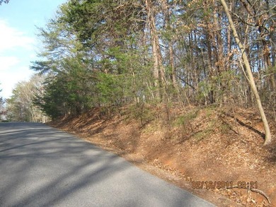 Build your Smith Mountain Lake dream home on this beautiful - photo 1