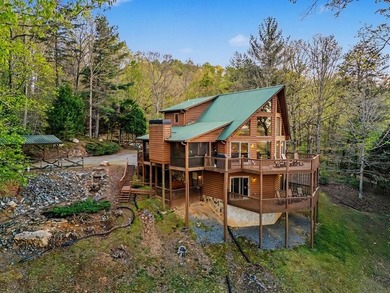 (private lake, pond, coastal) Home For Sale in Blue Ridge Georgia