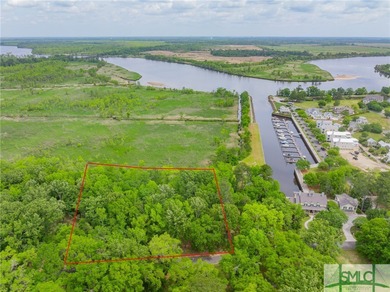 (private lake, pond, coastal) Lot For Sale in Richmond Hill Georgia