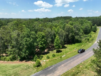 Lake Lot For Sale in Abbeville, South Carolina