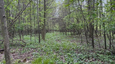 Discover the perfect blend of privacy, natural beauty, and - photo 11