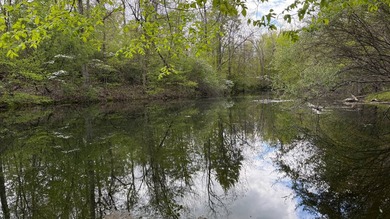 Discover the perfect blend of privacy, natural beauty, and - photo 12