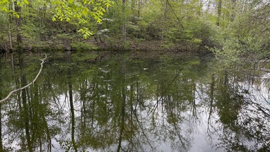 Discover the perfect blend of privacy, natural beauty, and - photo 13