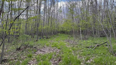 Discover the perfect blend of privacy, natural beauty, and - photo 14