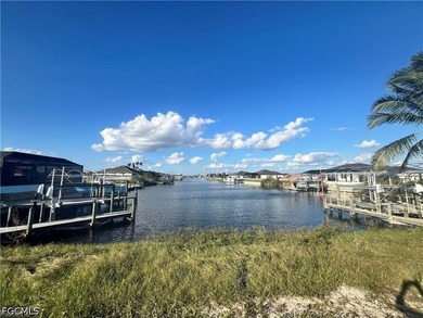 The perfect canvas for your dream home! The stunning Gulf Access - photo 2