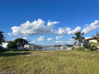 The perfect canvas for your dream home! The stunning Gulf Access - photo 3