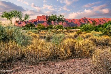 LOWEST PRICE LOT IN SUPERSTITION MOUNTAIN! CUSTOM HOMESITE. NO - photo 1