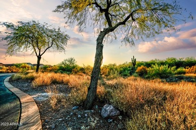 LOWEST PRICE LOT IN SUPERSTITION MOUNTAIN! CUSTOM HOMESITE. NO - photo 3
