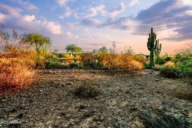 LOWEST PRICE LOT IN SUPERSTITION MOUNTAIN! CUSTOM HOMESITE. NO - photo 4