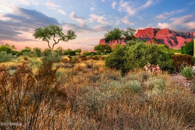 LOWEST PRICE LOT IN SUPERSTITION MOUNTAIN! CUSTOM HOMESITE. NO - photo 5