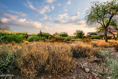 LOWEST PRICE LOT IN SUPERSTITION MOUNTAIN! CUSTOM HOMESITE. NO - photo 6