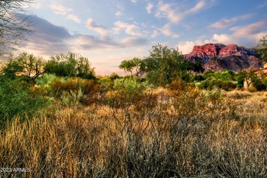 LOWEST PRICE LOT IN SUPERSTITION MOUNTAIN! CUSTOM HOMESITE. NO - photo 7