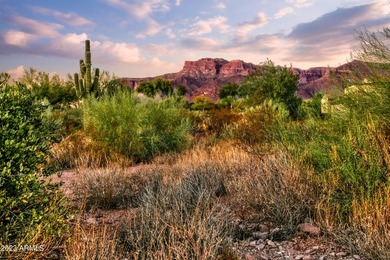 LOWEST PRICE LOT IN SUPERSTITION MOUNTAIN! CUSTOM HOMESITE. NO - photo 8