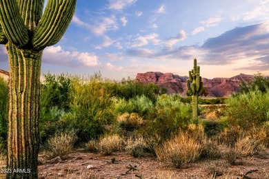 LOWEST PRICE LOT IN SUPERSTITION MOUNTAIN! CUSTOM HOMESITE. NO - photo 9