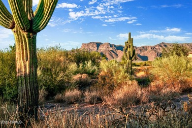 LOWEST PRICE LOT IN SUPERSTITION MOUNTAIN! CUSTOM HOMESITE. NO - photo 10