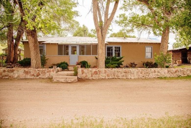 Lake Home For Sale in Datil, New Mexico