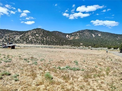 45313 4th Ln - photo 6